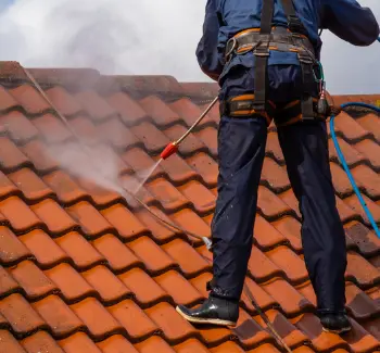 roof cleaning