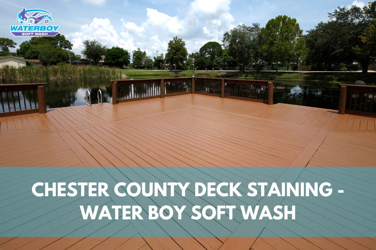 Chester County Deck Staining Services – Water Boy Soft Wash