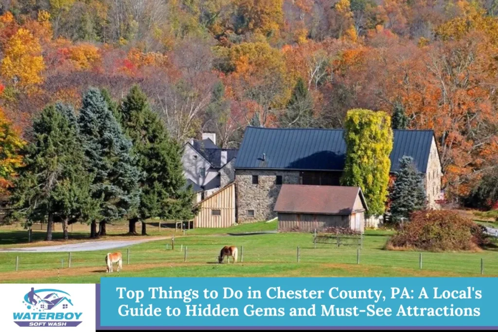 Top Things to Do in Chester County, PA: A Local's Guide to Hidden Gems and Must-See Attractions