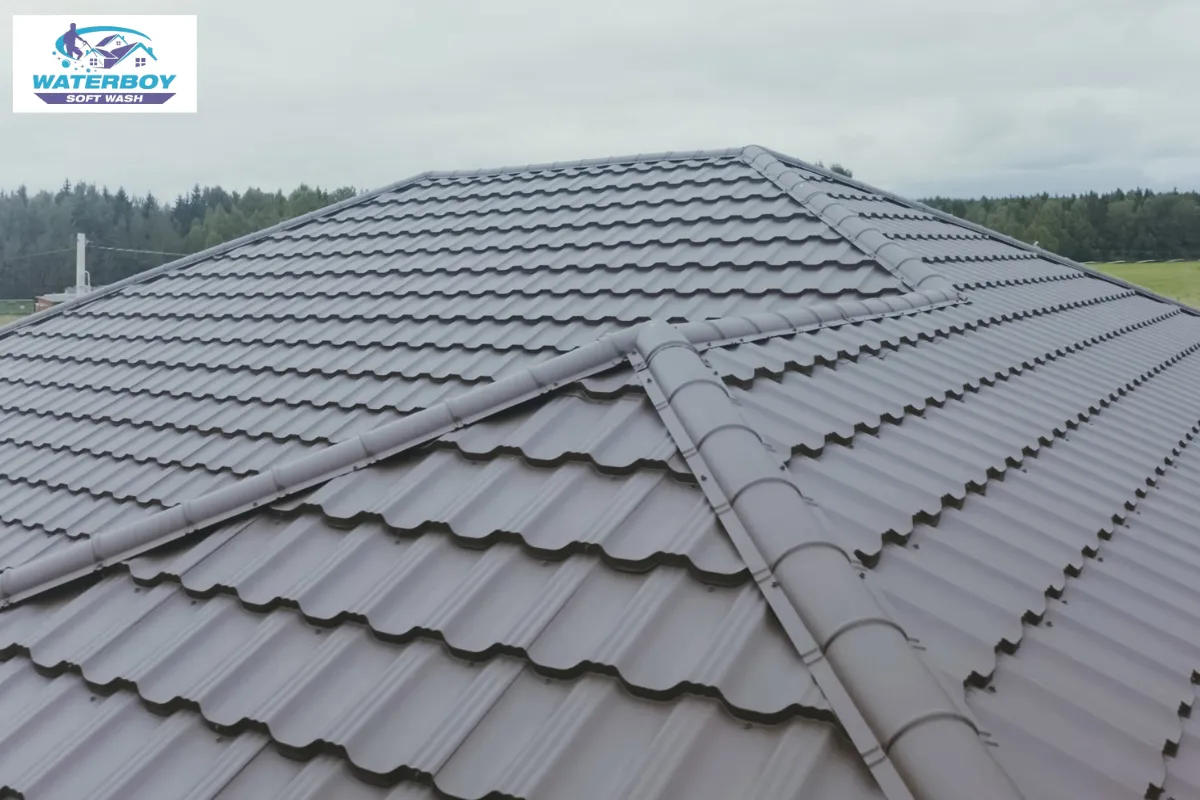 Best Solutions for Roof Cleaning