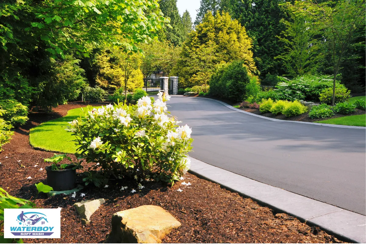 Neglecting Landscaping Protection