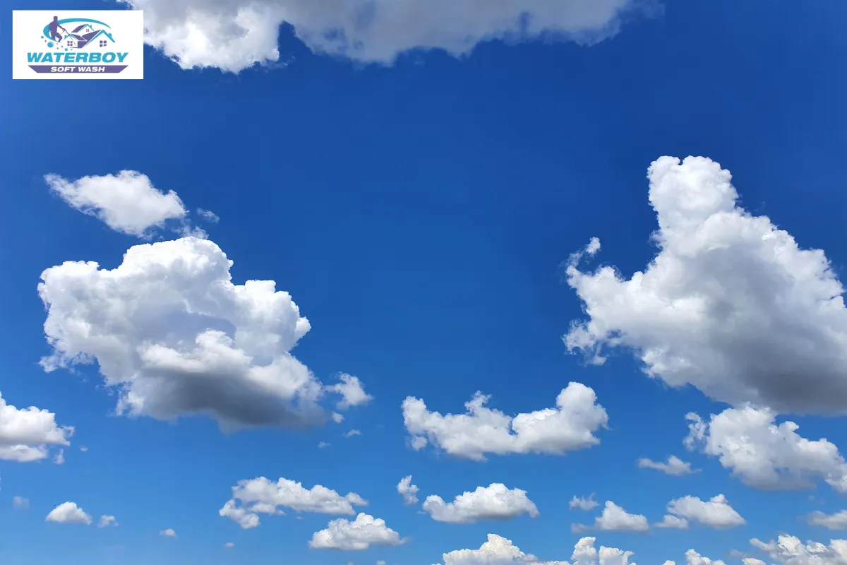 Not Adjusting Cleaning Methods for the Climate