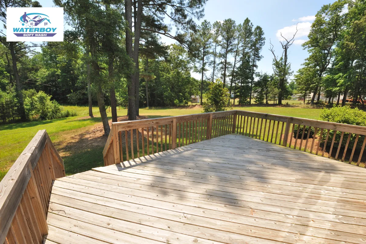 The Value of Deck and Fence Cleaning