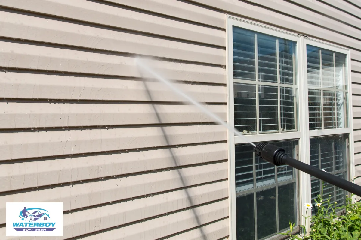 Understanding the Role of House Washing