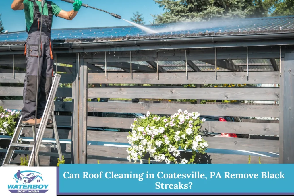 Can Roof Cleaning in Coatesville, PA Remove Black Streaks