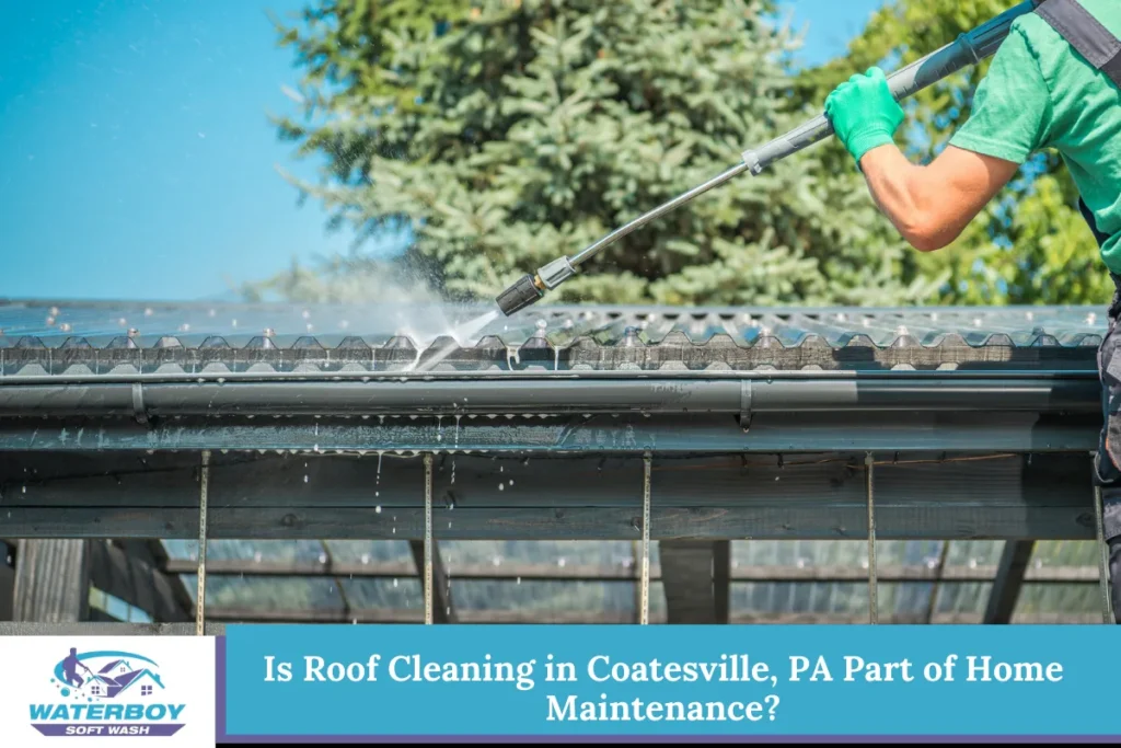 Is Roof Cleaning in Coatesville, PA Part of Home Maintenance