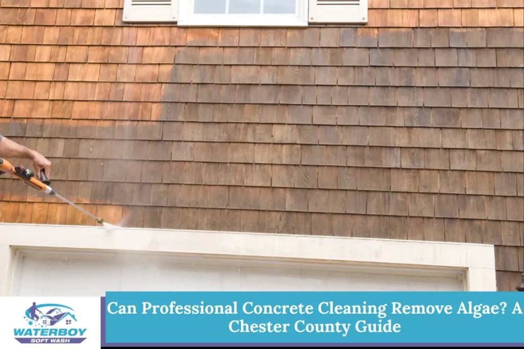 Can Professional Concrete Cleaning Remove Algae A Chester County Guide
