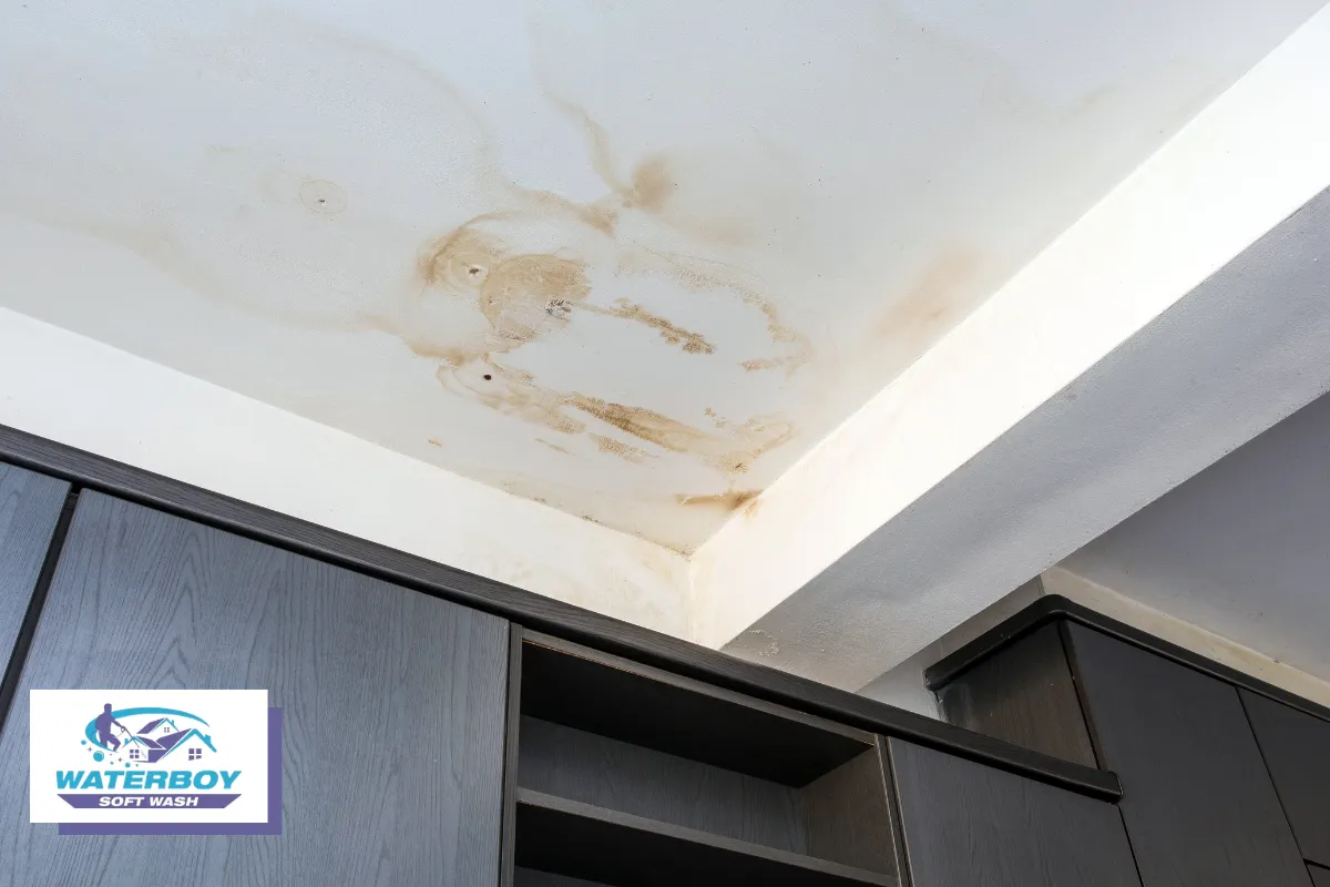 Moisture Problems That Lead to Bigger Issues