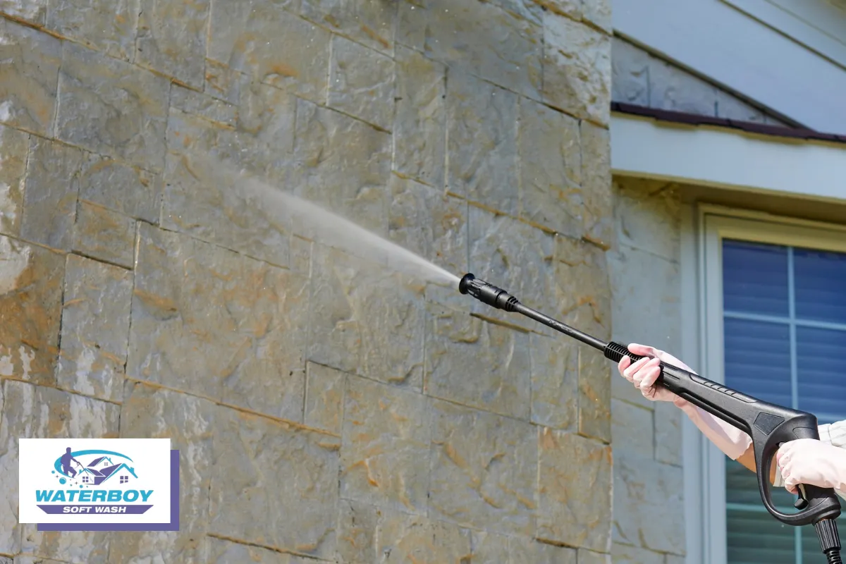 Soft Washing vs. High-Pressure Cleaning for Pest Prevention