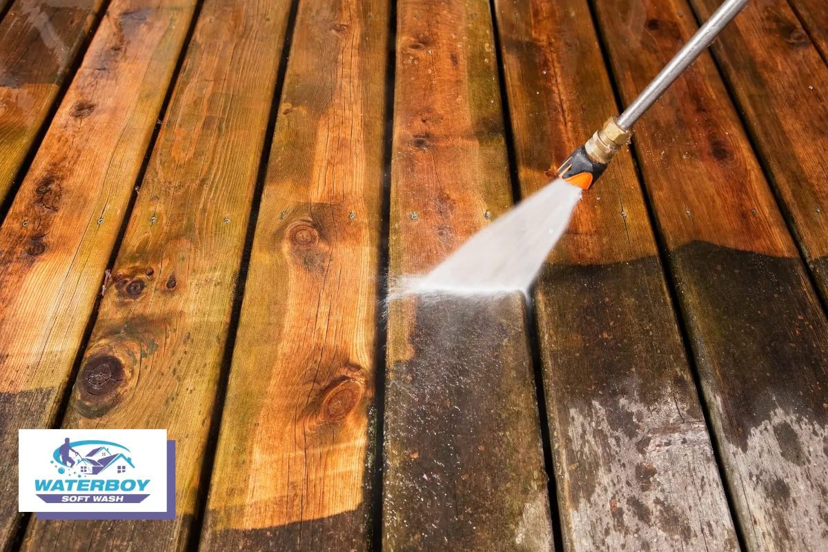 Deep Clean Warning Signs: When Your Deck Needs Serious Attention