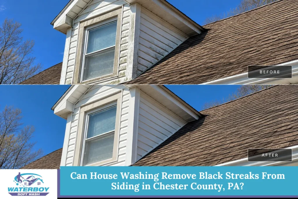 Can House Washing Remove Black Streaks From Siding in Chester County, PA?
