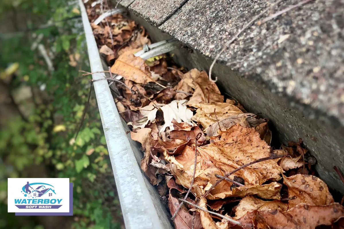 How Clogged Gutters Start and the Damage They Can Cause in Chester County