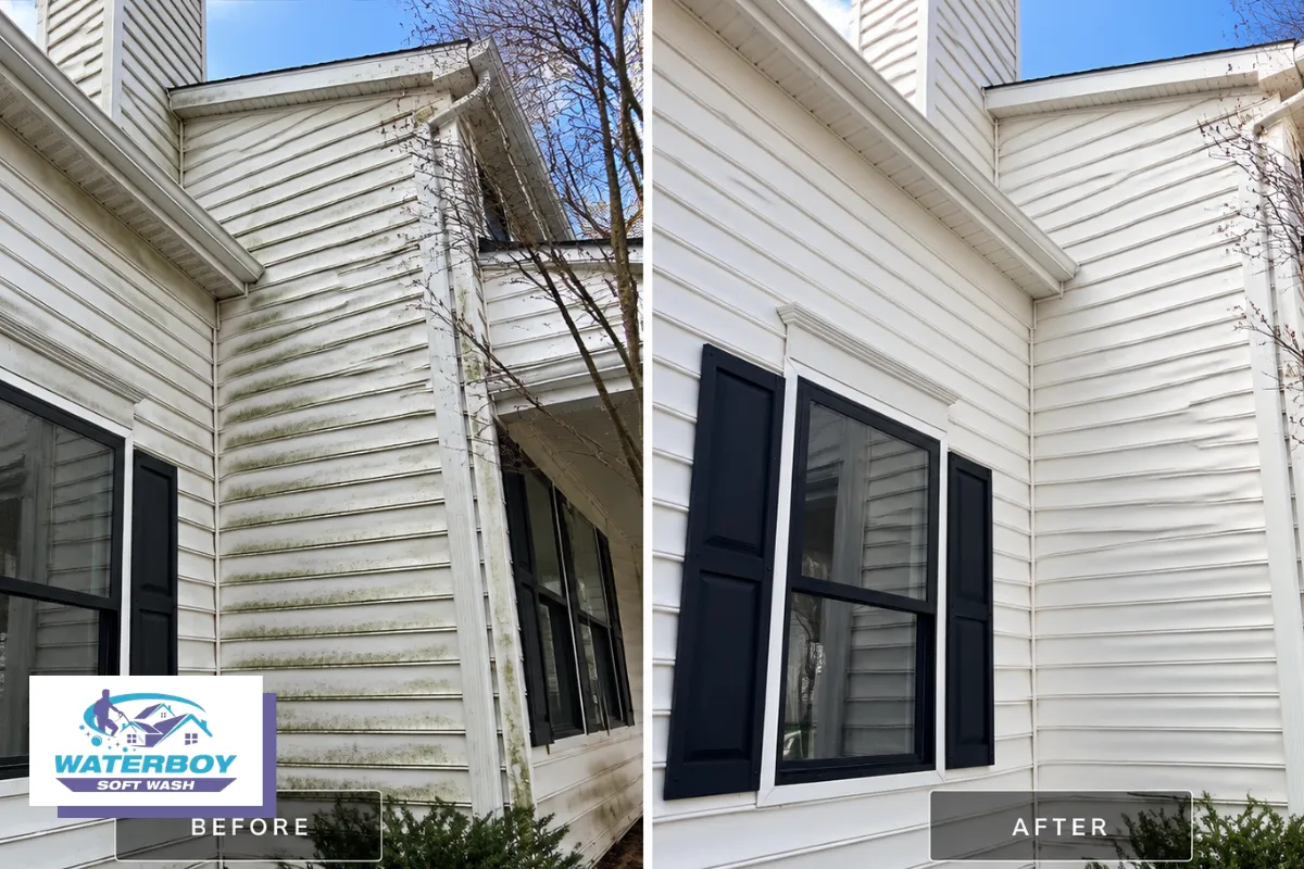 How Professional House Washing Removes Black Streaks Step by Step