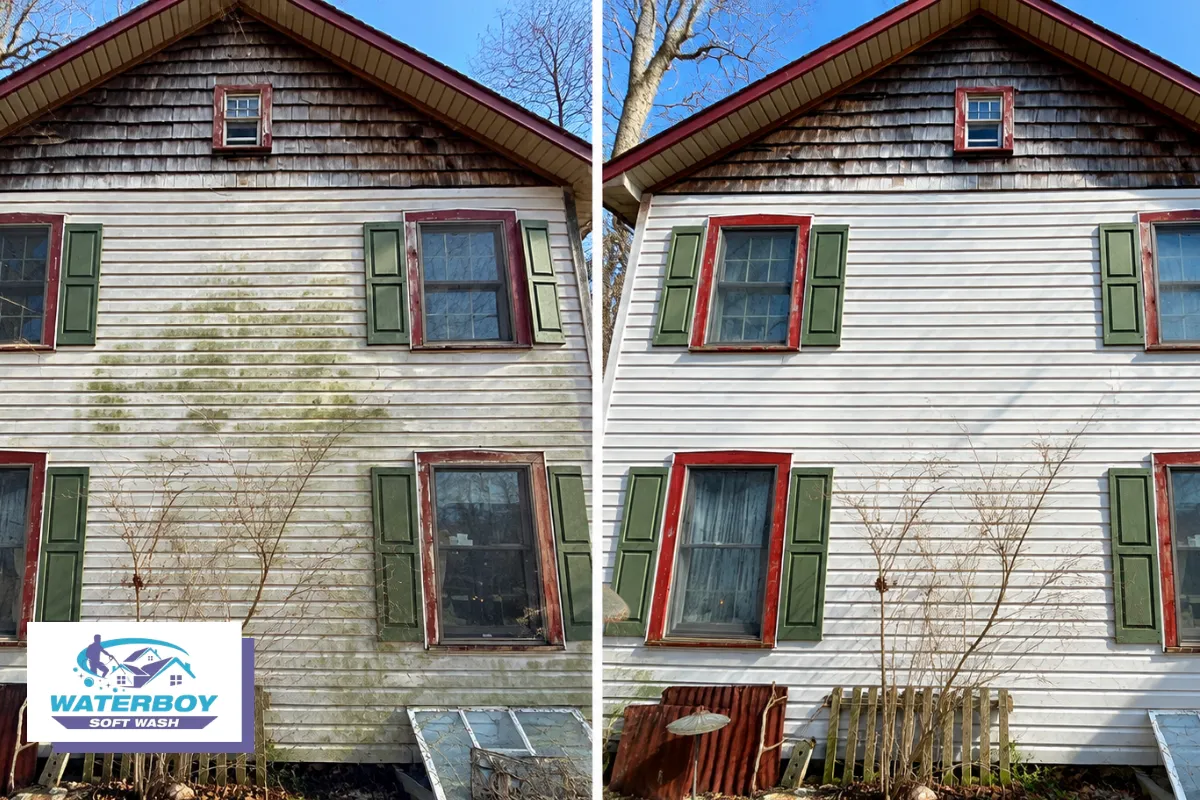 How Soft Washing Differs from Traditional Pressure Washing