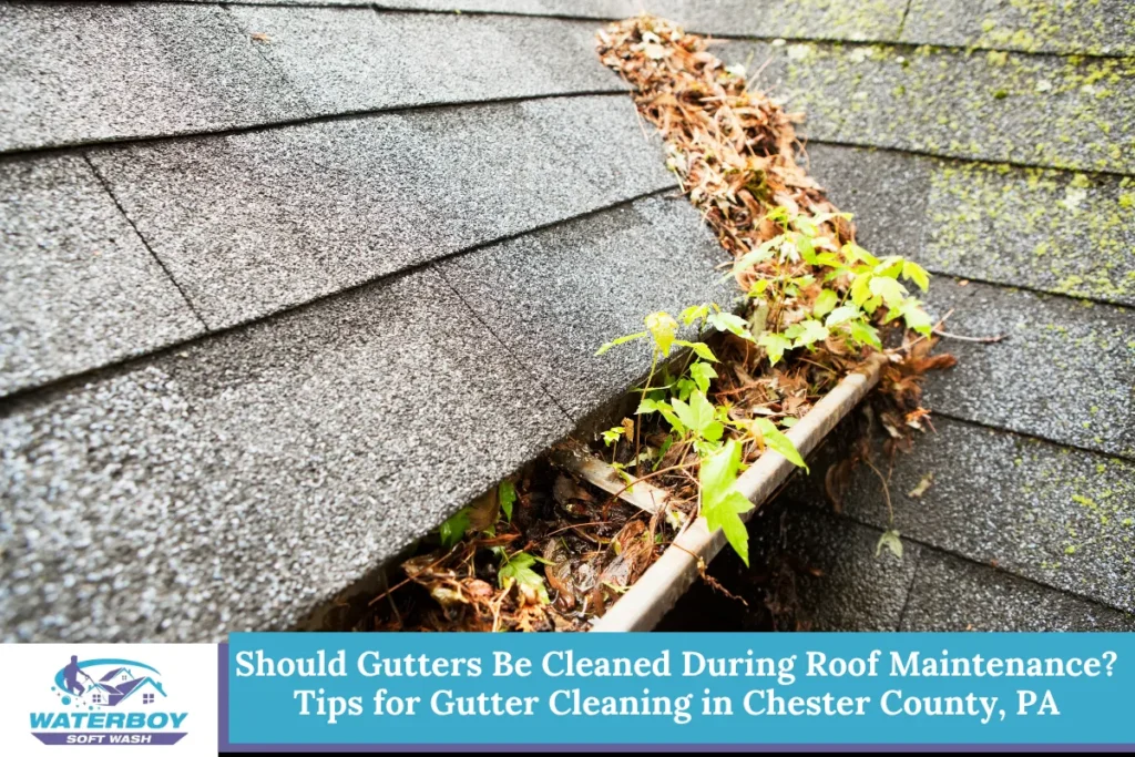 Should Gutters Be Cleaned During Roof Maintenance? Tips for Gutter Cleaning in Chester County, PA