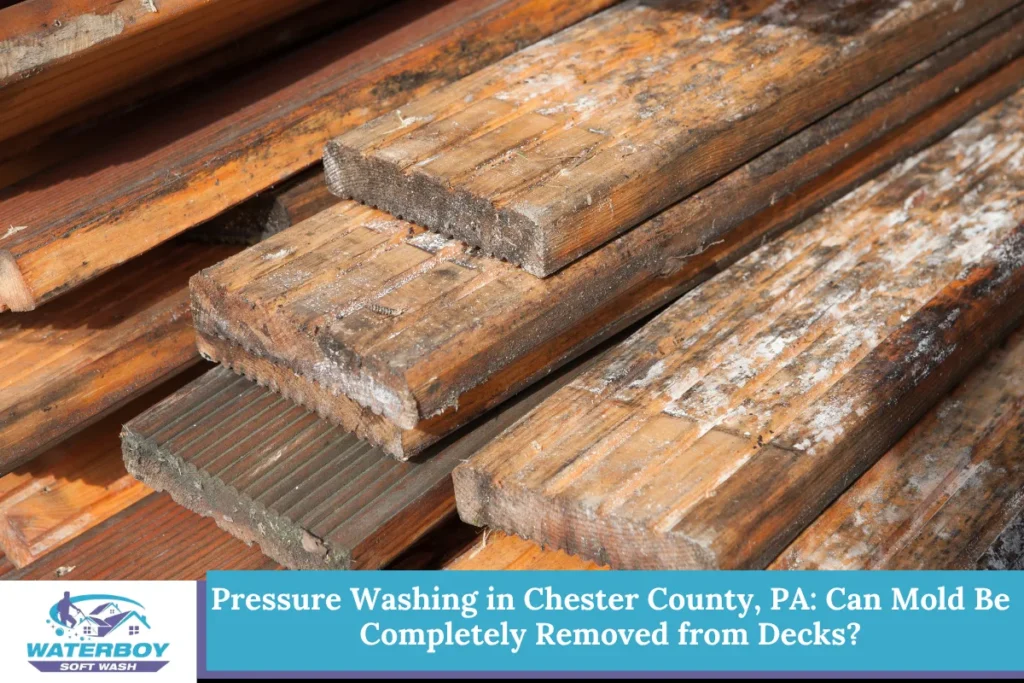 Pressure Washing in Chester County, PA: Can Mold Be Completely Removed from Decks?
