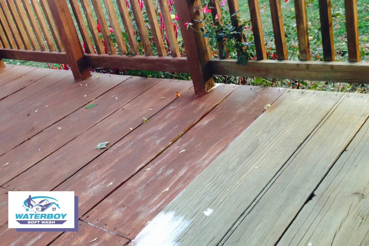 Risks of High-Power Deck Cleaning on Different Wood Types